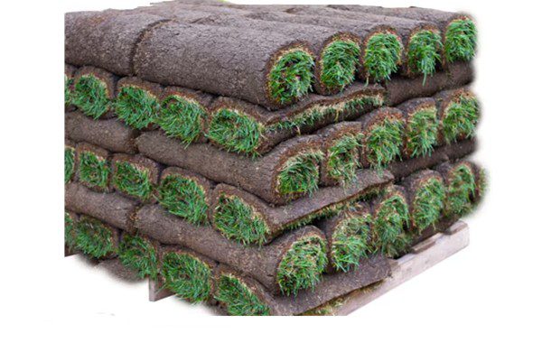 sod on a pallet